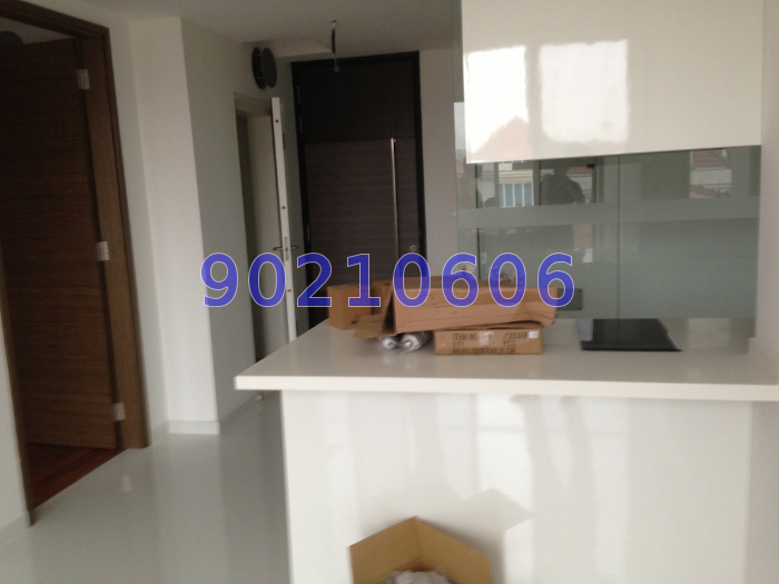 KOON SENG ROAD (D15), Condominium #48445912